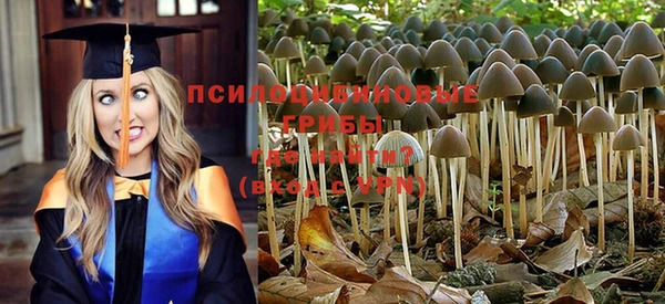 mdma Елизово