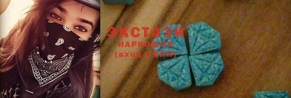 прущая мука Ельня