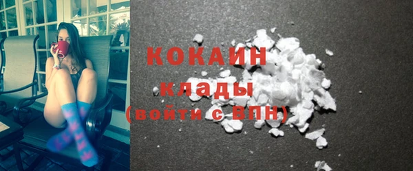 прущая мука Ельня