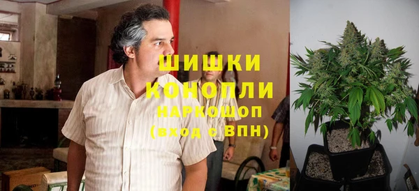 прущая мука Ельня