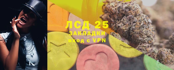 прущая мука Ельня