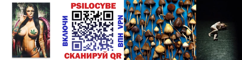 где можно купить   Уссурийск  Псилоцибиновые грибы Cubensis 