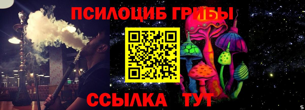 Псилоцибиновые грибы Psilocybine cubensis Уссурийск